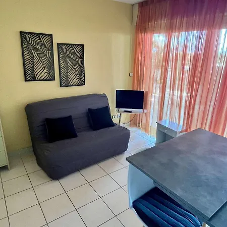 公寓 Avec Terrasse 4 Pers, Acces Direct Plage, Tv, Animaux Admis - - Fr-1-225-798 *