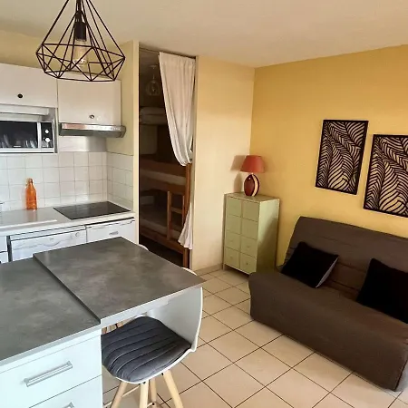 Avec Terrasse 4 Pers, Acces Direct Plage, Tv, Animaux Admis - - Fr-1-225-798 Apartment Argeles-sur-Mer