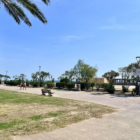 Avec Terrasse 4 Pers, Acces Direct Plage, Tv, Animaux Admis - - Fr-1-225-798 *